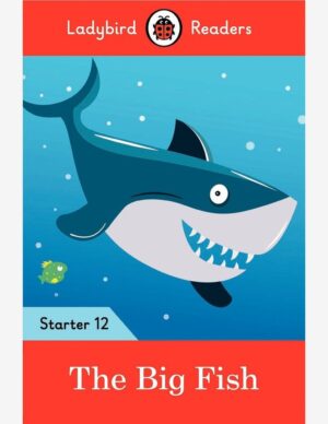 THE BIG FISH-STARTER 12 (LB)