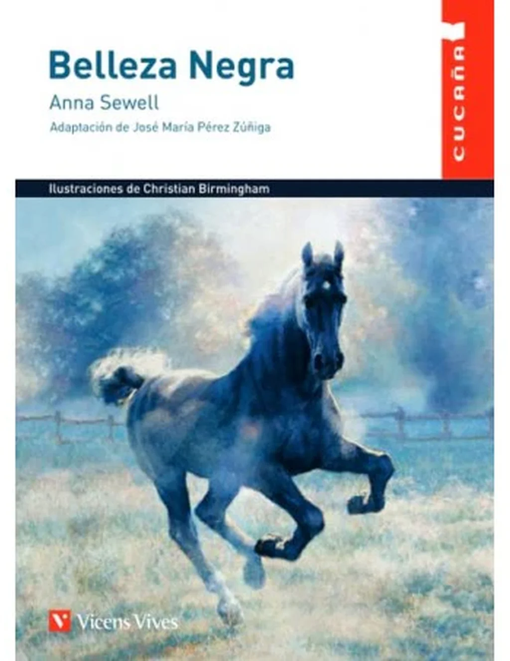 BELLEZA NEGRA (CUCAÑA)